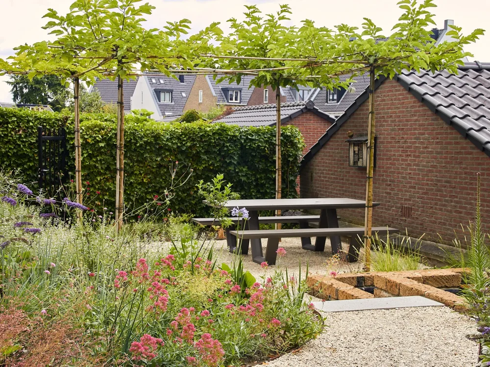 Van_Der_Ende_IMG_5016